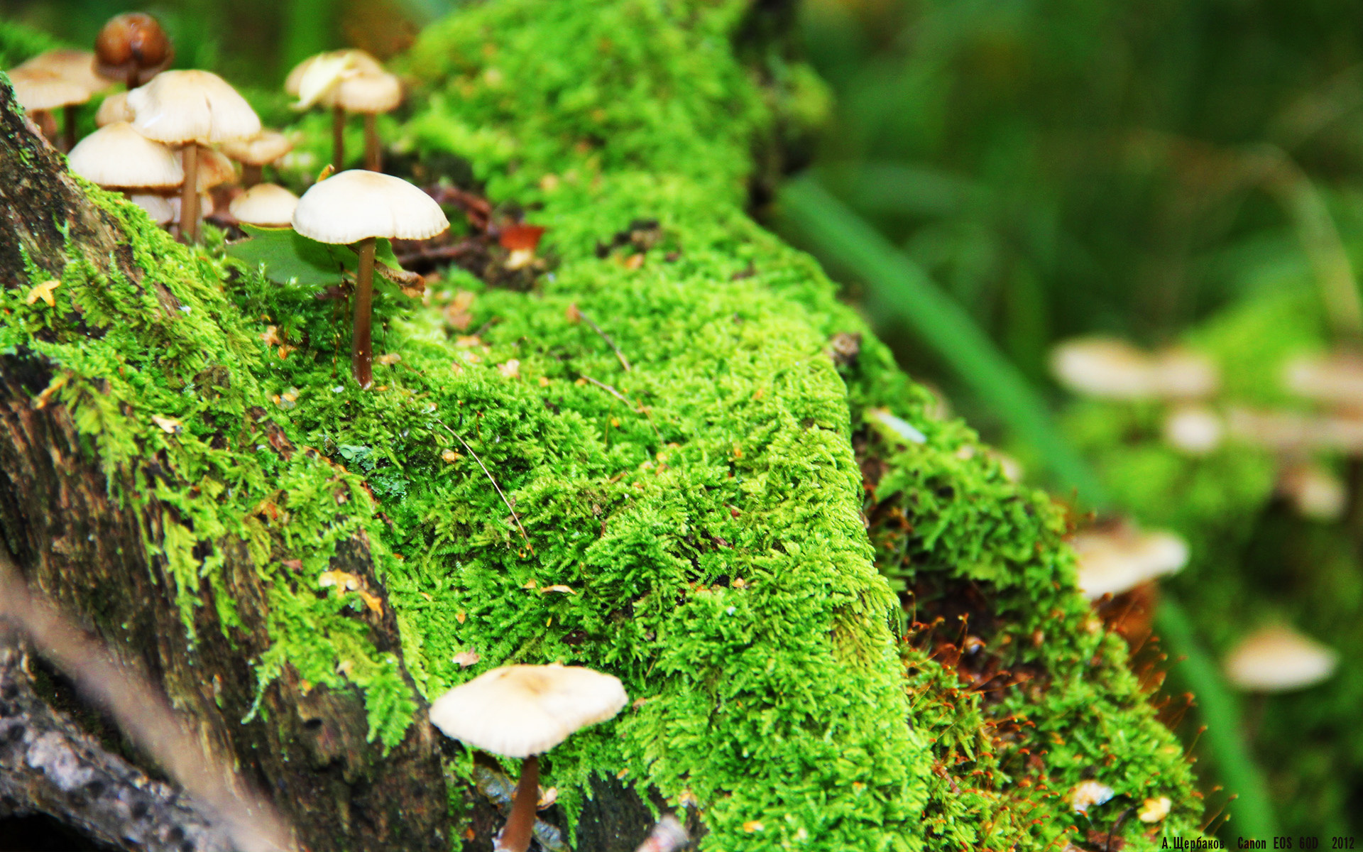 星空体育首页登录-瑞典客场逼平克罗地亚，小组晋级形势艰难，瑞典与克罗地亚足球比分预测
