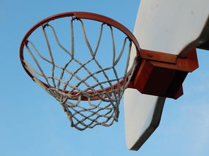 StarSky Sporting下载-篮球运动员训练营管理系统设计，篮球训练营计划方案