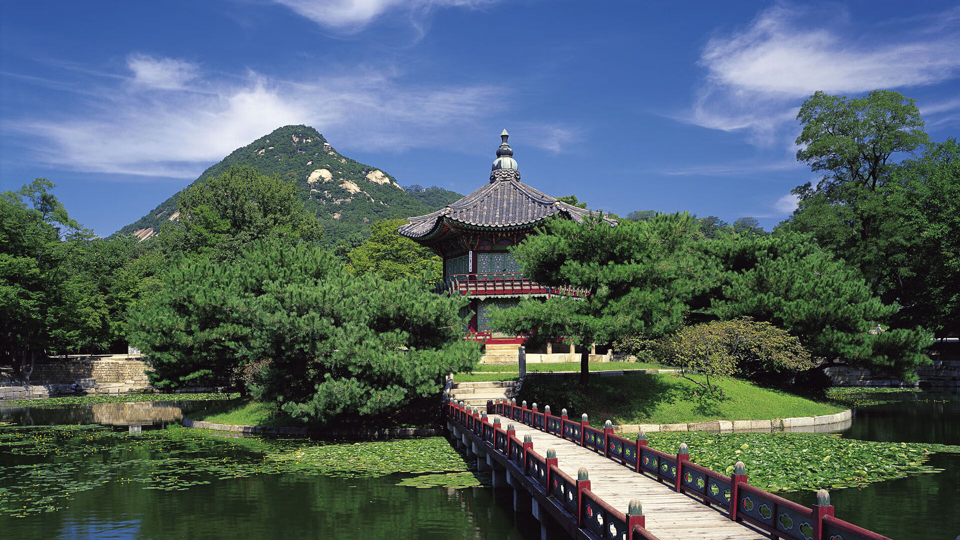 马拉松志愿服务体系趋于专业化，马拉松志愿者服务项目有哪些